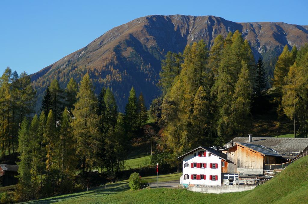 Bnb Guesthouse Lusi Frauenkirch 外观 照片