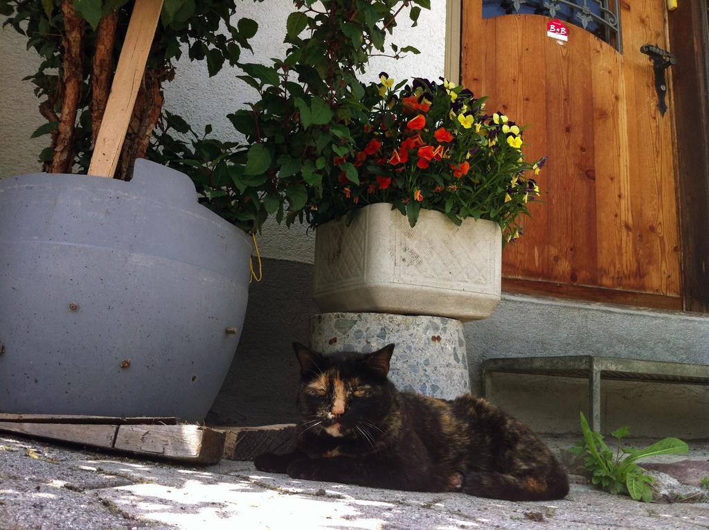 Bnb Guesthouse Lusi Frauenkirch 外观 照片