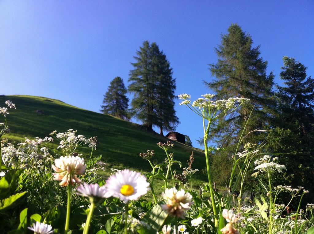 Bnb Guesthouse Lusi Frauenkirch 外观 照片