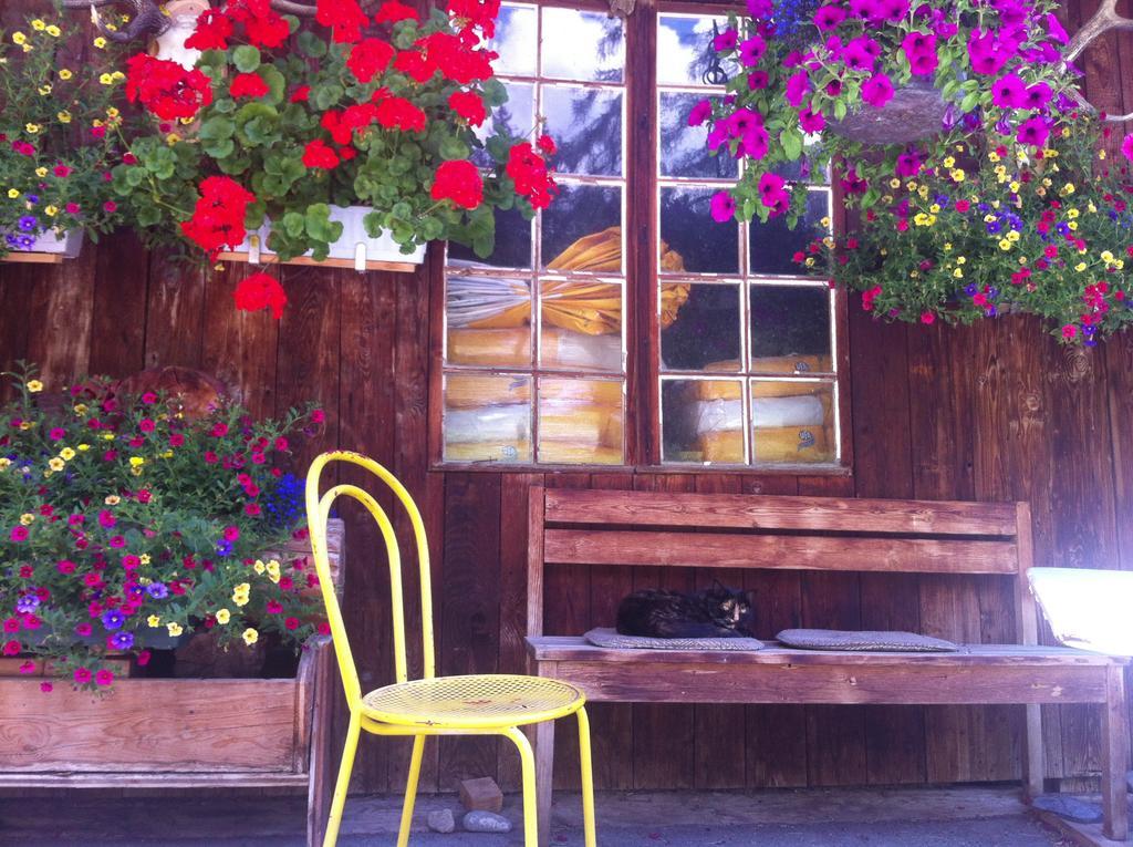 Bnb Guesthouse Lusi Frauenkirch 外观 照片